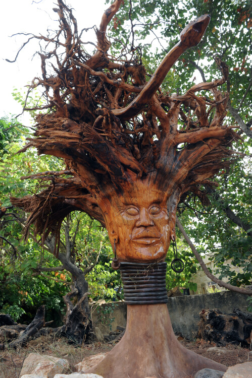 איש השורש - כי האדם עץ השדה צילום: רענן טל